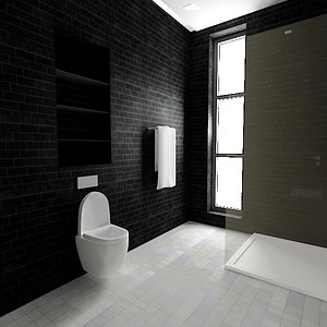 max modern bathroom scene