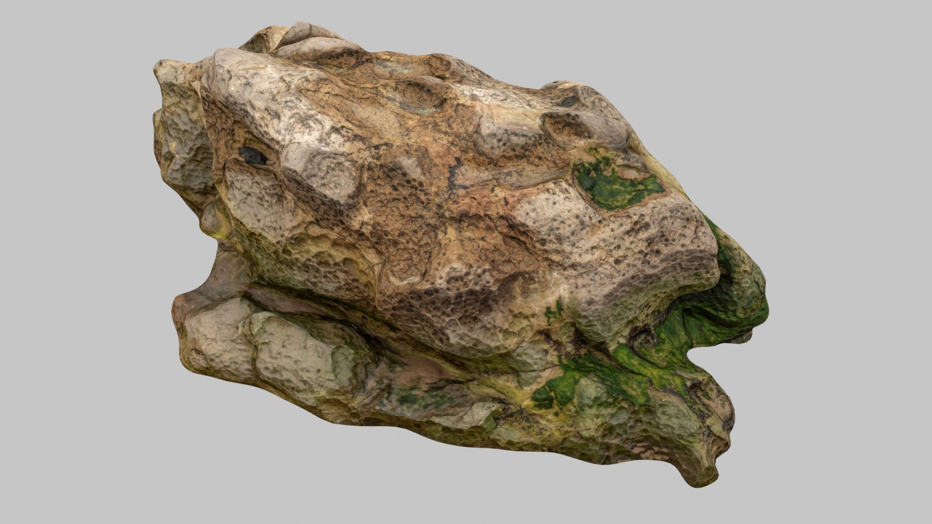3D model Beach Rock Scan 03 https://p.turbosquid.com/ts-thumb/eh/TK8WXf/Gs/w3/jpg/1618254826/1920x1080/fit_q87/1b8dd696828ff3b2ff921b3c6532cccd28daab17/w3.jpg