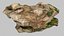 Plage Rock Scan 03