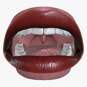 MTH-006 Rigged Woman Mouth