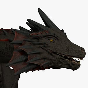 DragonRigged 3D model