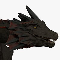 DragonRigged