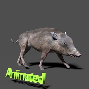 wild boar 3d max