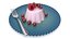 Raspberry Panna Cotta