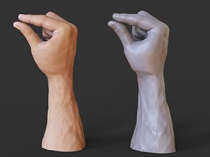3D Male Hand Pose 02