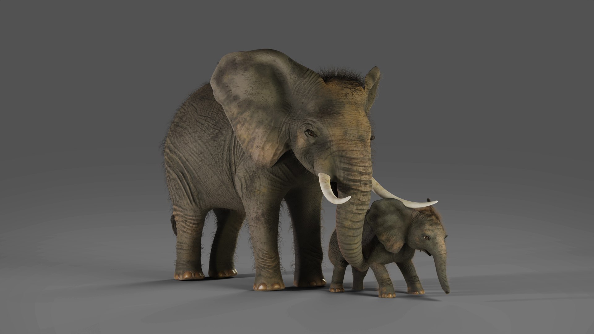 3D Model Fur Elephant And Baby Elephant Rigged In Blender - TurboSquid ...
