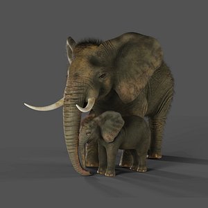 3D model Fur Elephant and Baby Elephant Rigged in Blender
