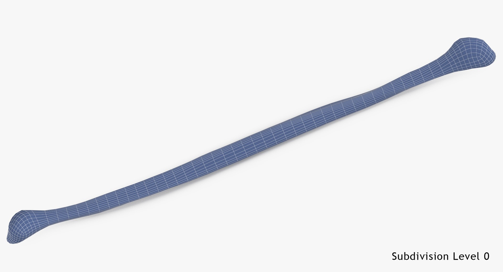 3D Human Fibula Bone 01 - TurboSquid 1423208