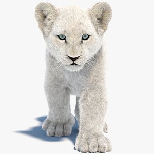 Animated White Fur Baby Lion