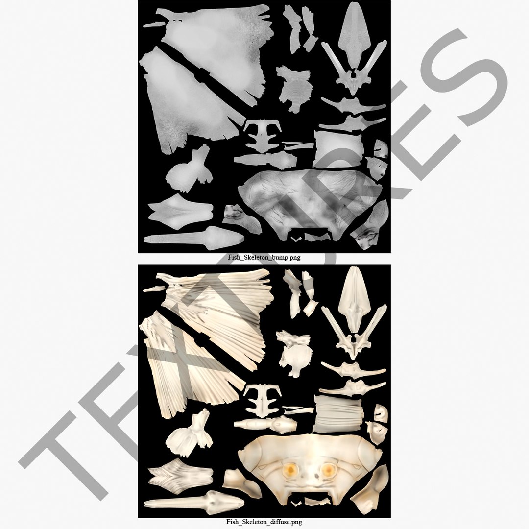 3d model https://p.turbosquid.com/ts-thumb/ei/ZKKmzZ/6iFfGwCy/fishskeleton_4/jpg/1405525641/1920x1080/fit_q87/55ca6479668356bd3cb5f7131ae49d3bce1f7fe2/fishskeleton_4.jpg