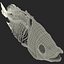Fish Skeleton