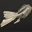 Fish Skeleton