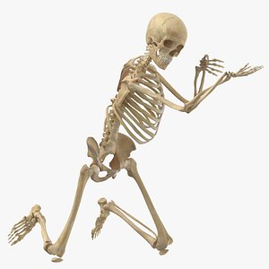 3D Real Human Female Skeleton Pose 62