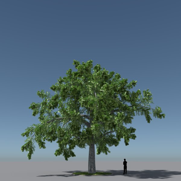 free max mode tree oak v3