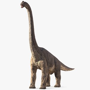 brachiosaurus altithorax rigged 3D model