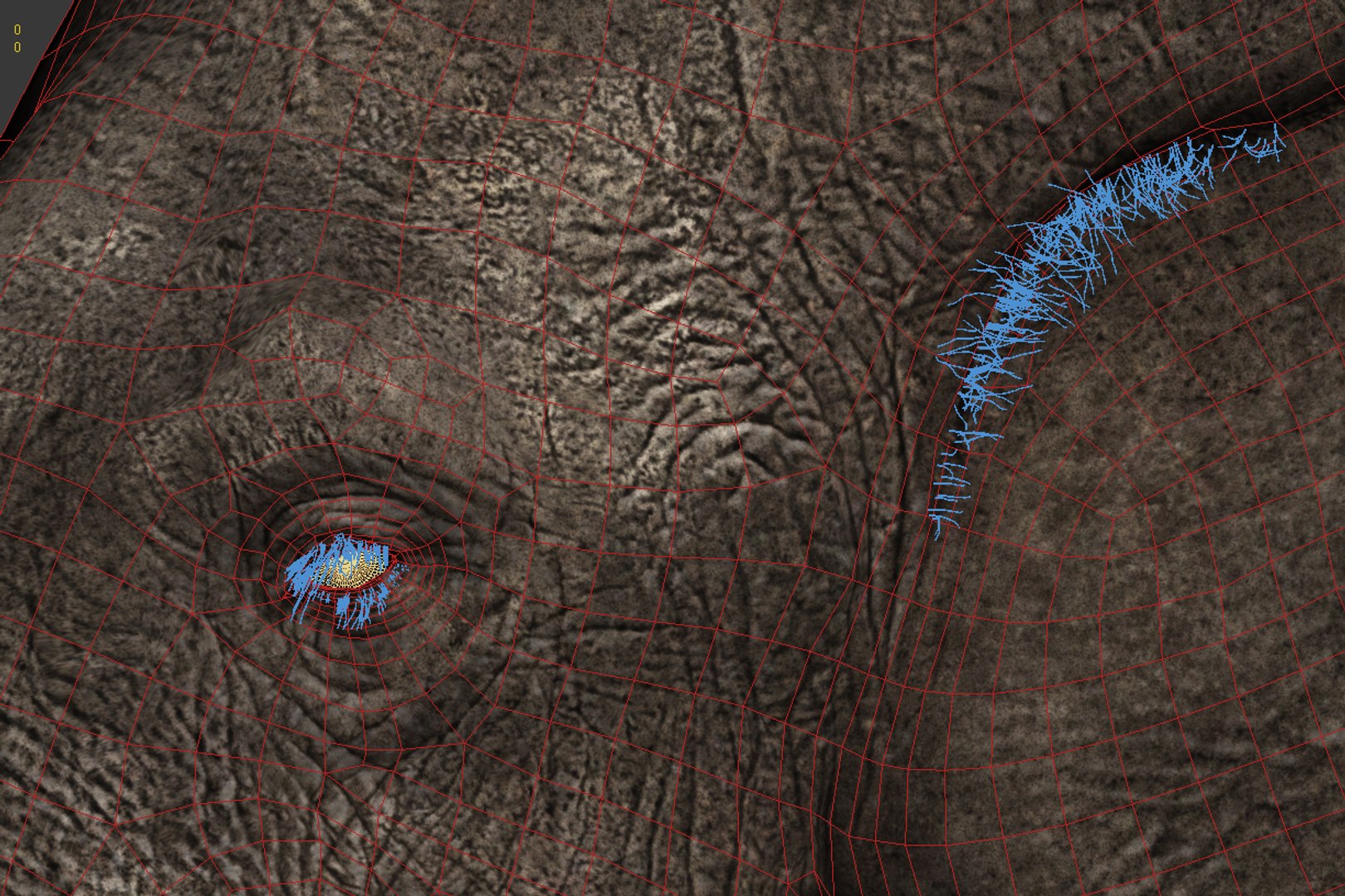 Photorealistic Elephant Rigging 3d Max