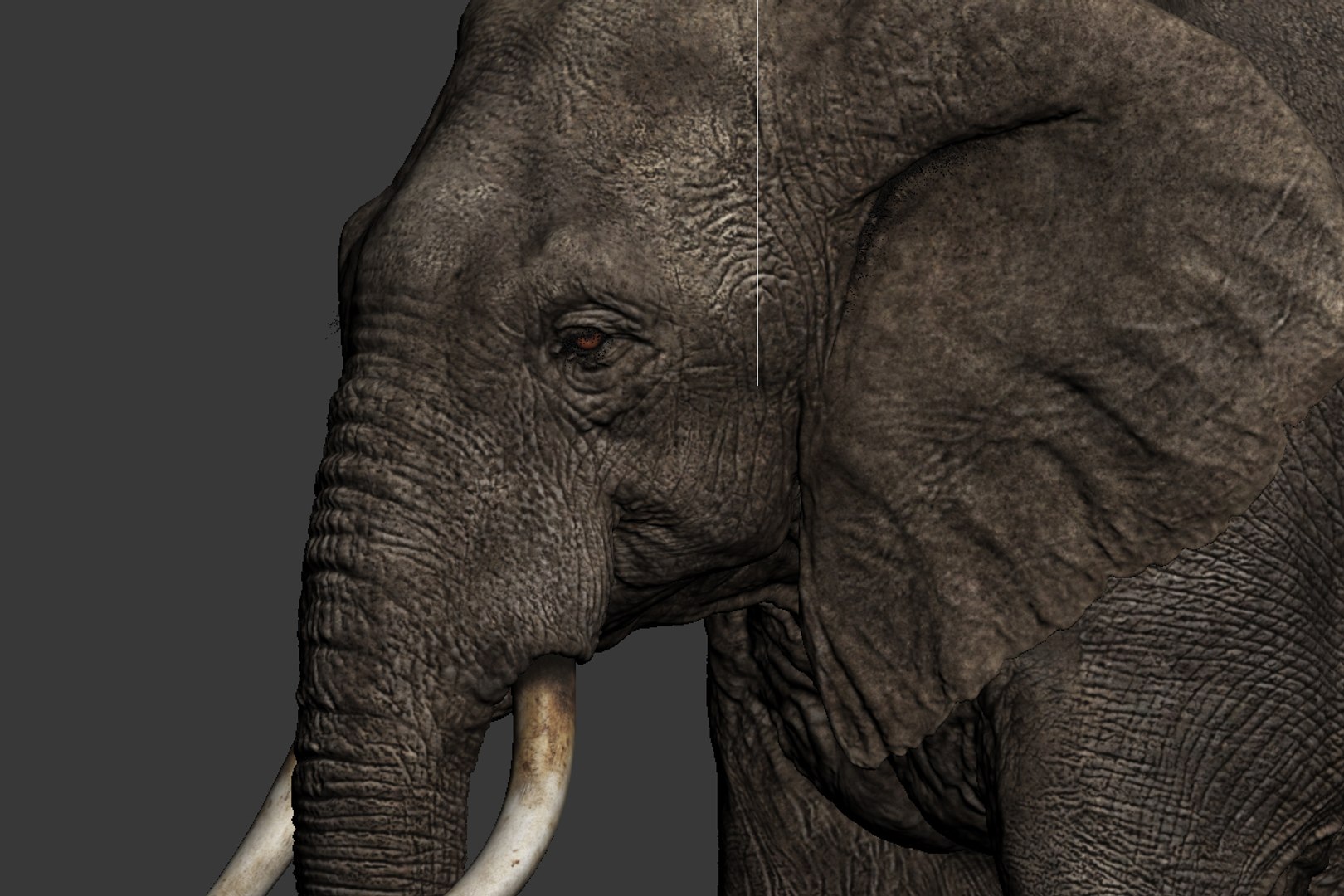 Photorealistic Elephant Rigging 3d Max