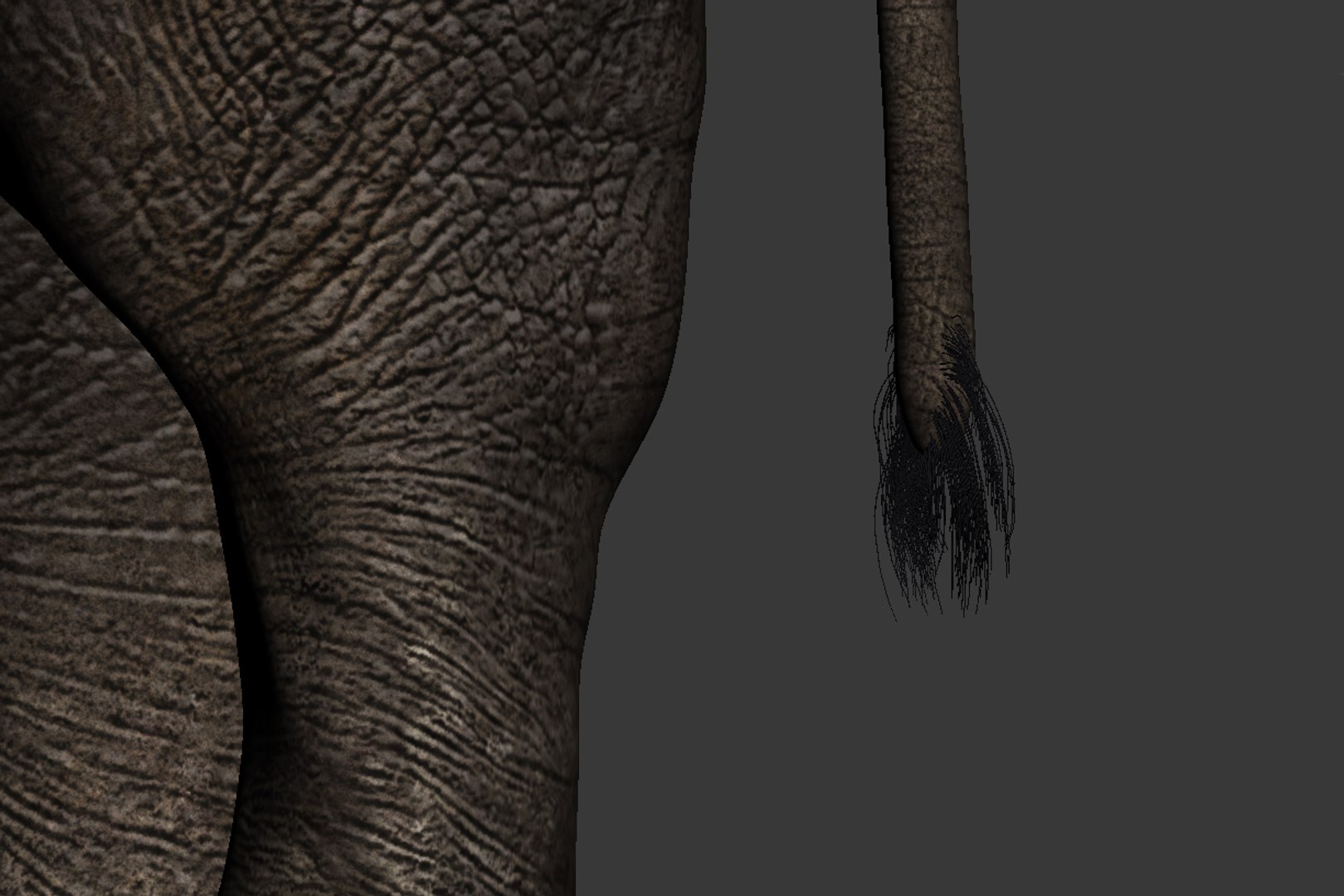Photorealistic Elephant Rigging 3d Max