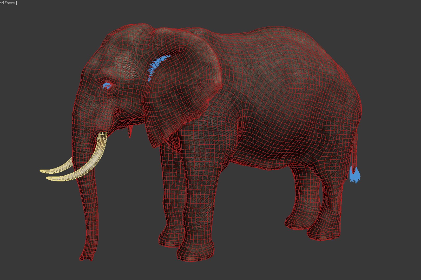 Photorealistic Elephant Rigging 3d Max