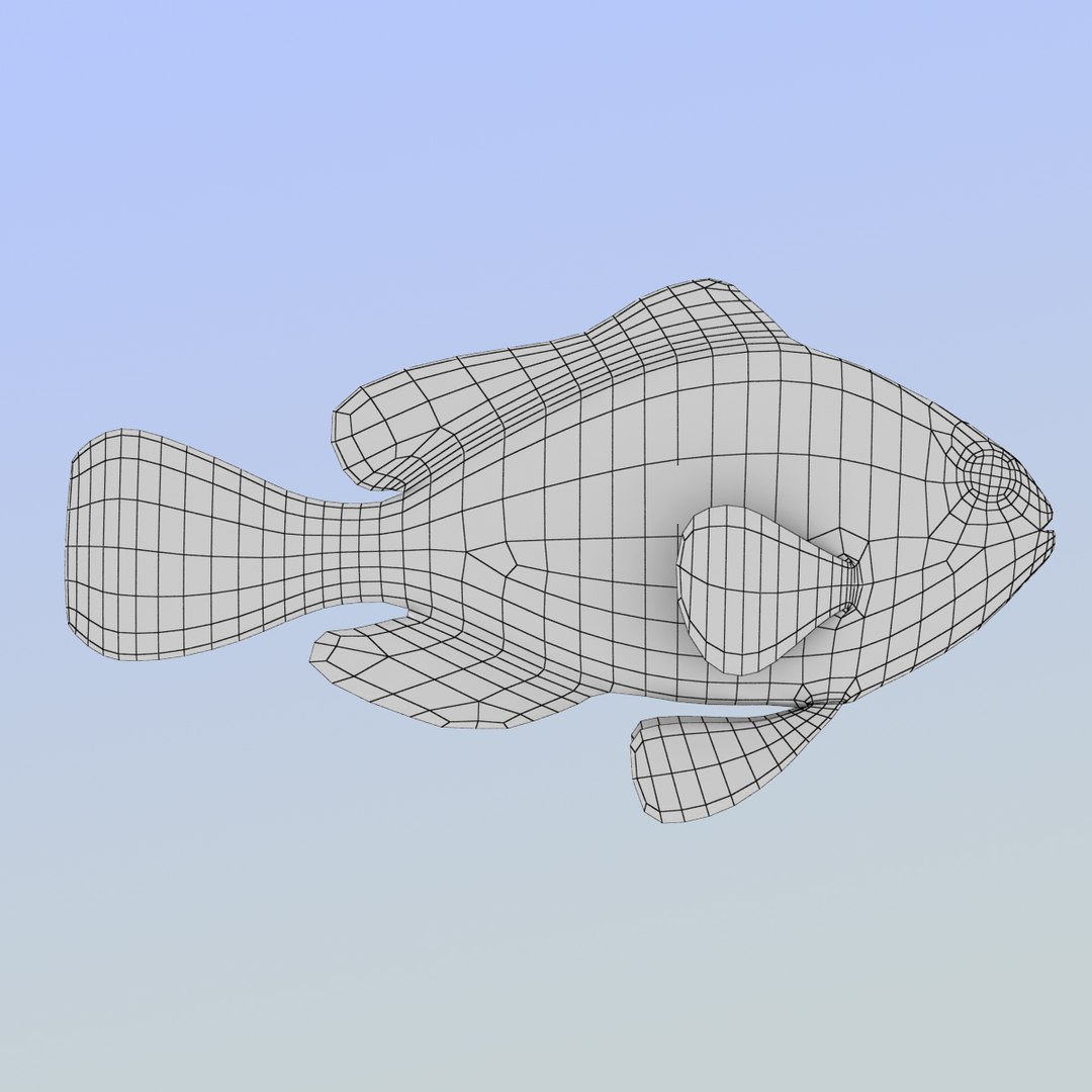 3d allard clownfish model