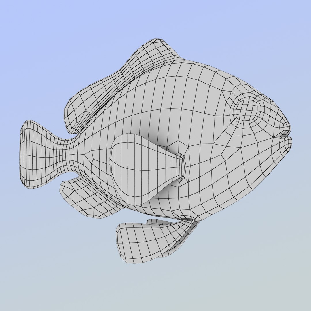 3d Allard Clownfish Model