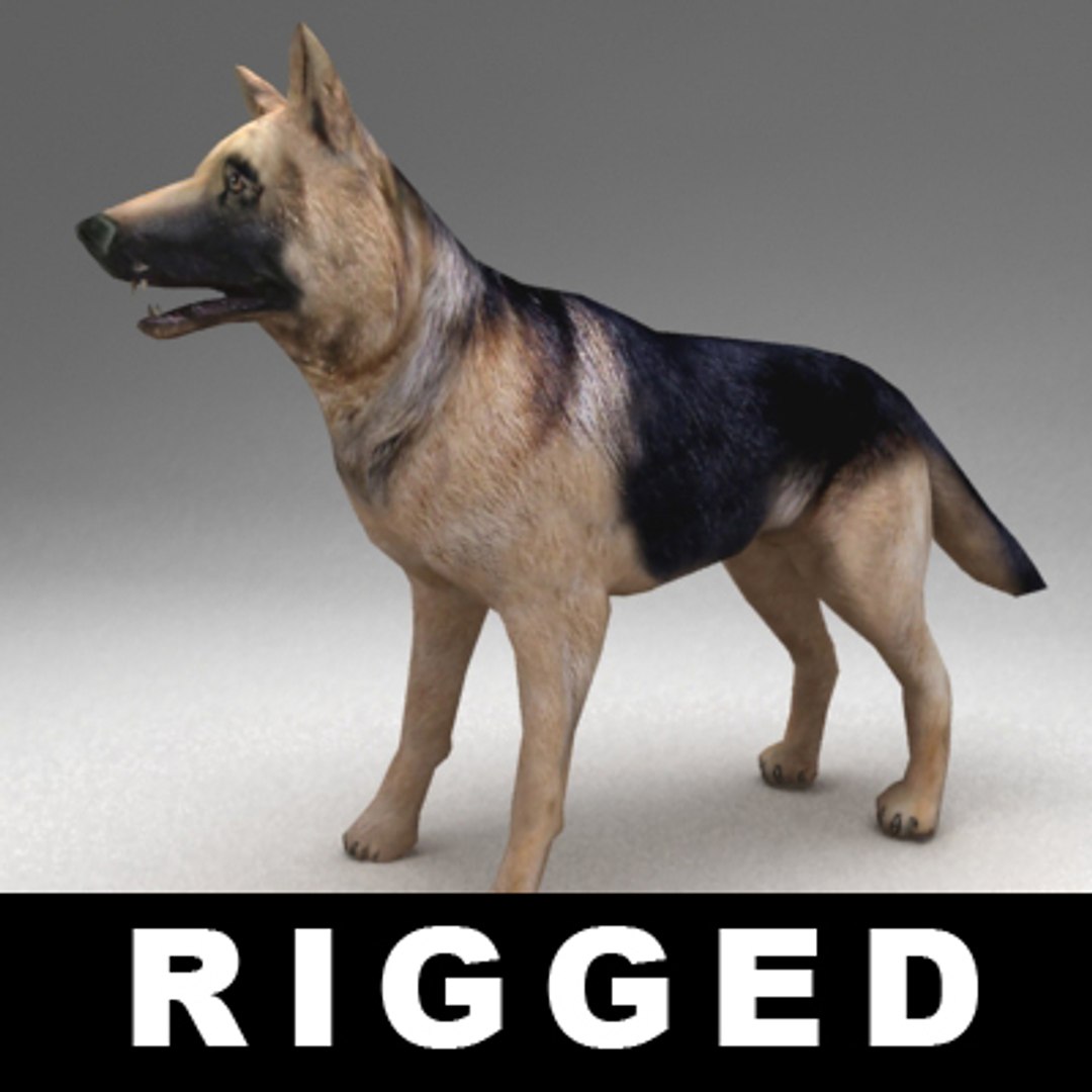 3d rigged german shepherd https://p.turbosquid.com/ts-thumb/ek/1zhdUJ/WVno6Aeb/dog_v0/jpg/1292390452/1920x1080/fit_q87/9290b1537cf9997f89df30830633d90d6587c95d/dog_v0.jpg