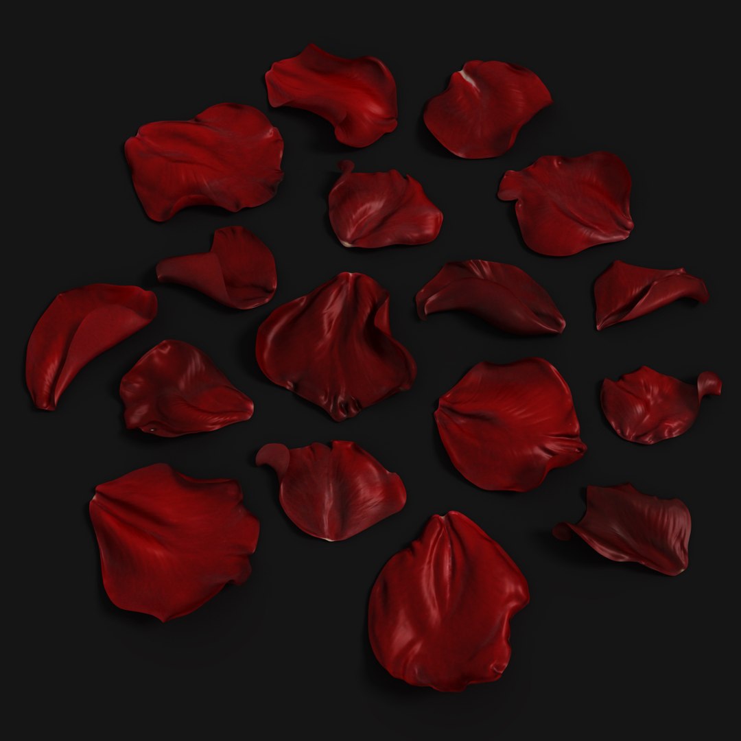 x realistic rose petals https://p.turbosquid.com/ts-thumb/ek/2UWcTa/2SRn9bep/rosepetalsblack/jpg/1437508489/1920x1080/fit_q87/7c449bb83435105c70ee258c8636a0cb298ee100/rosepetalsblack.jpg