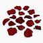 Rose Petals Extended Rebuild