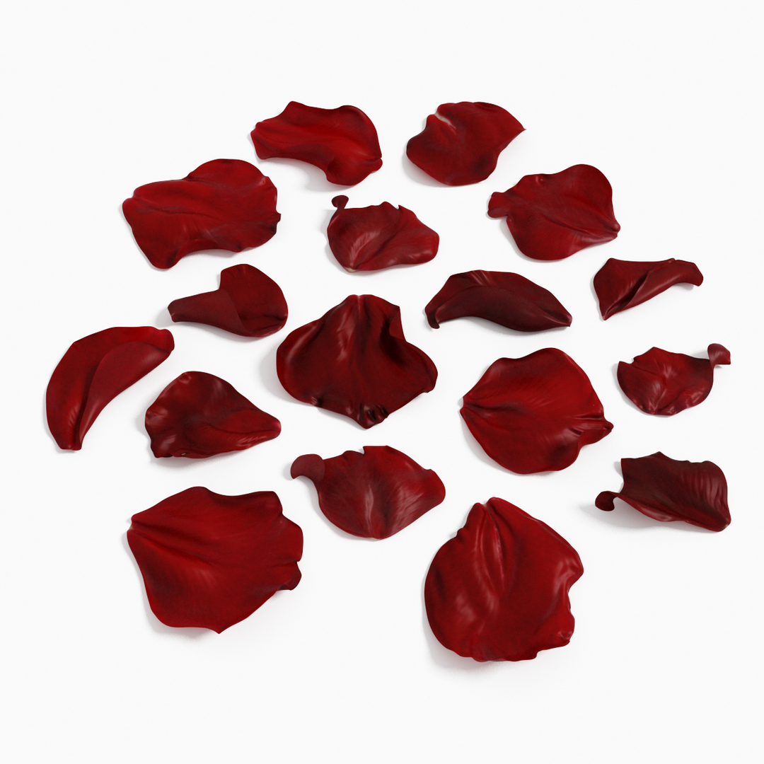 x realistic rose petals https://p.turbosquid.com/ts-thumb/ek/2UWcTa/Ghr4KMC3/rosepetals/jpg/1430218974/1920x1080/turn_fit_q99/bc6f8857bfcae359e1d2fb1ef969b4fec81f2970/rosepetals-1.jpg