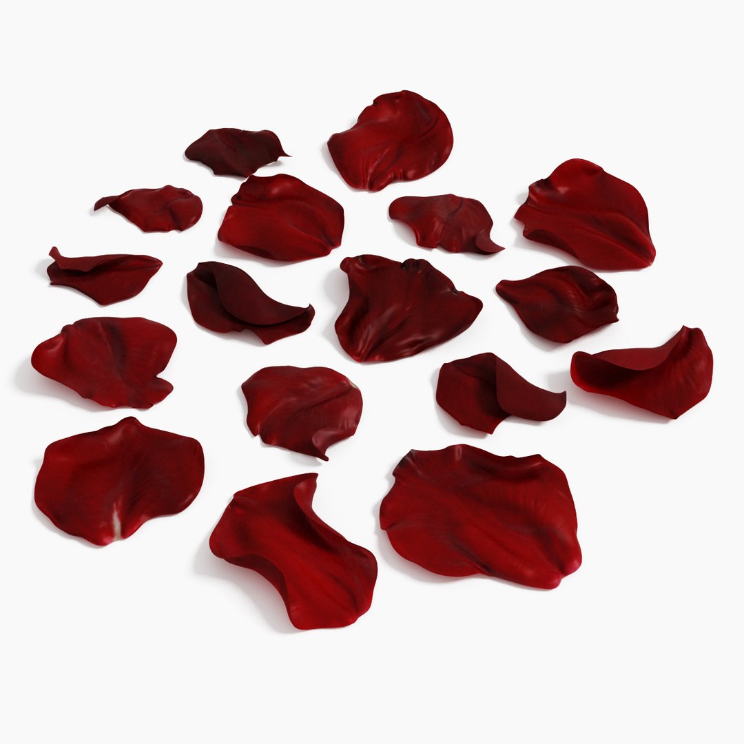 x realistic rose petals https://p.turbosquid.com/ts-thumb/ek/2UWcTa/OZwH7tm4/rosepetals03/jpg/1436223365/1920x1080/fit_q87/8a0e904779f054617de748a87309ffcfe304cd4d/rosepetals03.jpg
