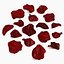 Rose Petals Extended Rebuild