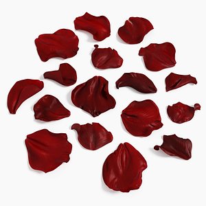 Rose Petals Extended Rebuild