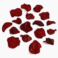 Rose Petals Extended Rebuild