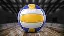 Volleyball Ball
