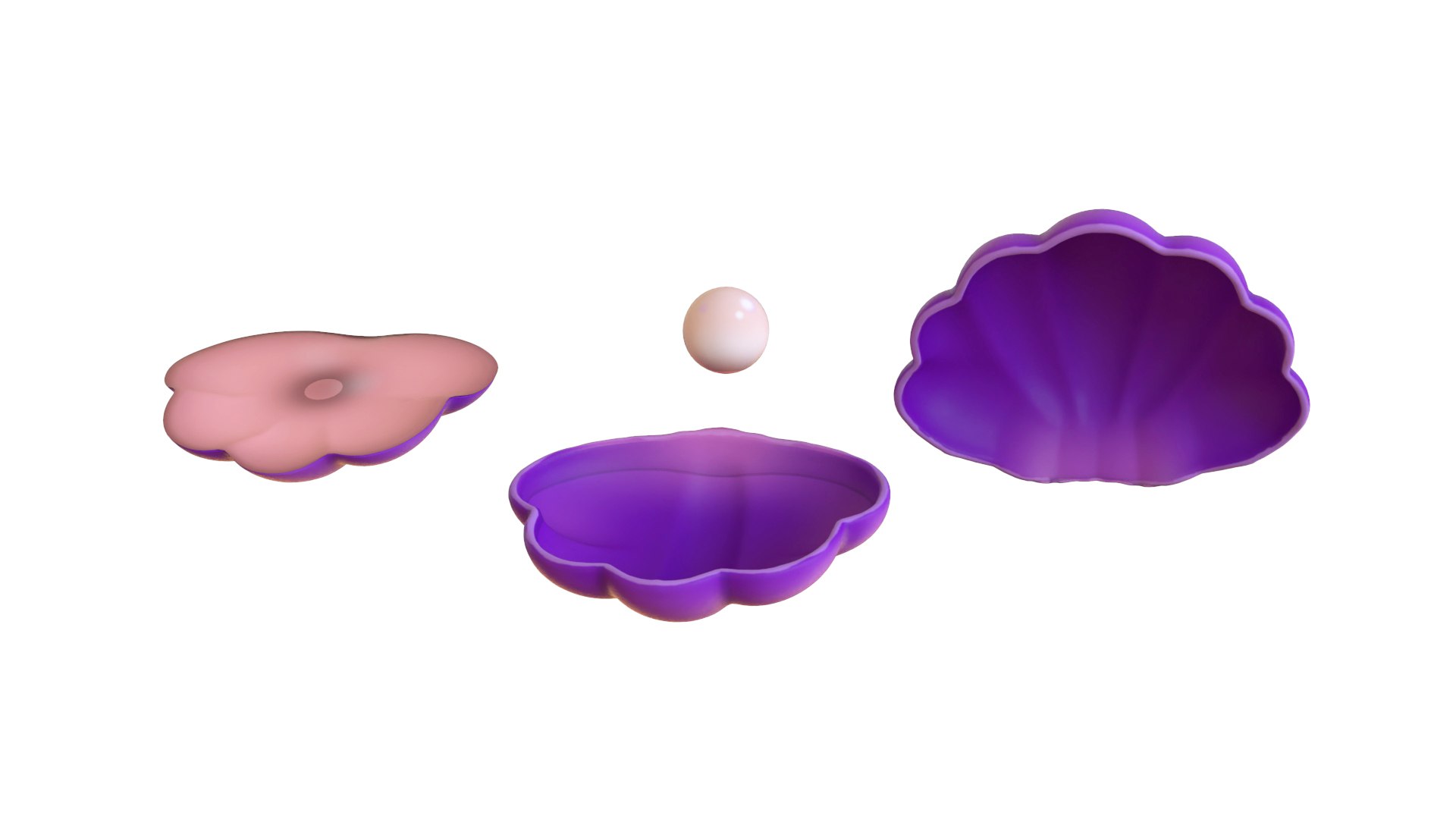 3D Open Clam Sea Shell 06 - TurboSquid 2331070