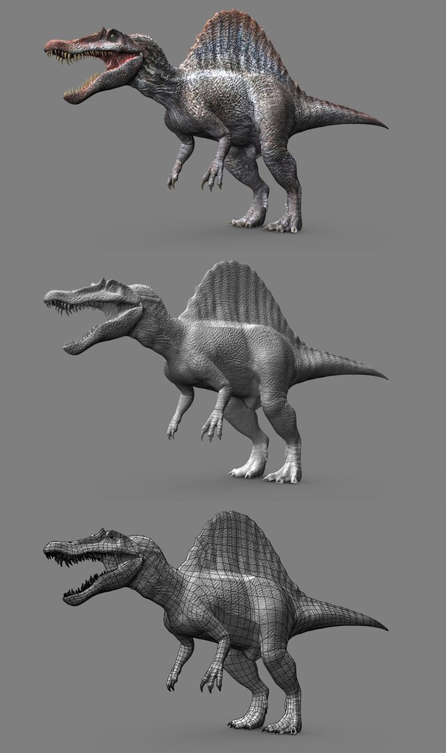 3d model of jurassic park multi dino https://p.turbosquid.com/ts-thumb/ek/BcmIKj/eE2O8Afm/spinobreakdown/jpg/1317251443/1920x1080/fit_q87/834403cd4f5194f190a90489bbe69b26b9ae914d/spinobreakdown.jpg