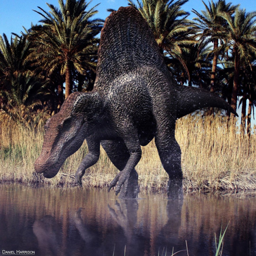 3d model of jurassic park multi dino https://p.turbosquid.com/ts-thumb/ek/BcmIKj/g9nG9qdi/coverpic/jpg/1317252703/1920x1080/fit_q87/637b8c39c3e0a18404f753e6fee6245ac515bd0e/coverpic.jpg