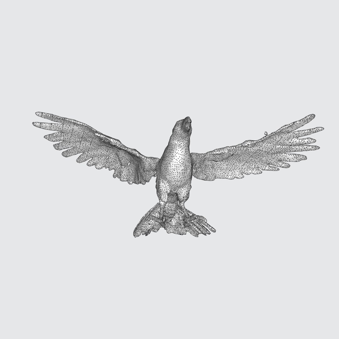 A Black Raven In Flight Model - TurboSquid 2263454