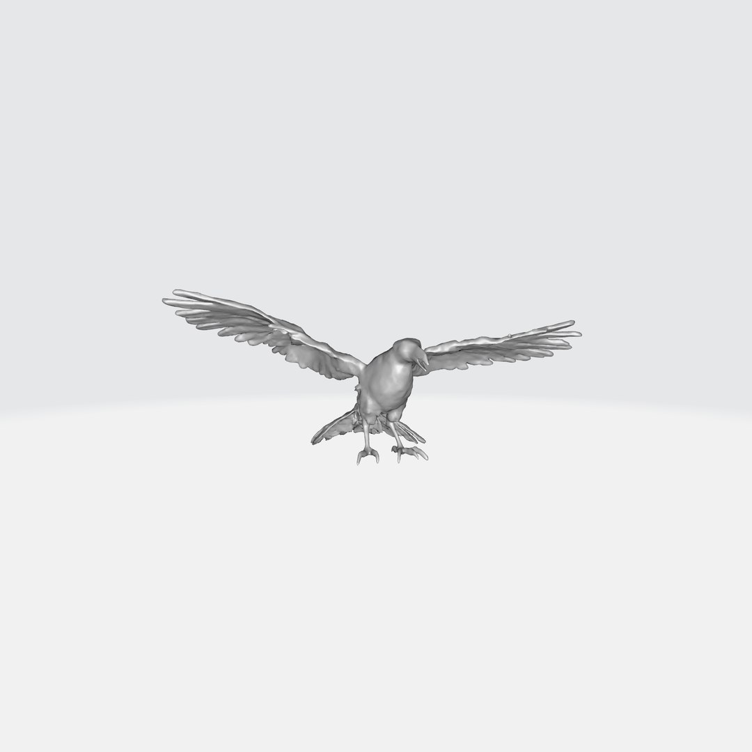 A Black Raven In Flight Model - TurboSquid 2263454