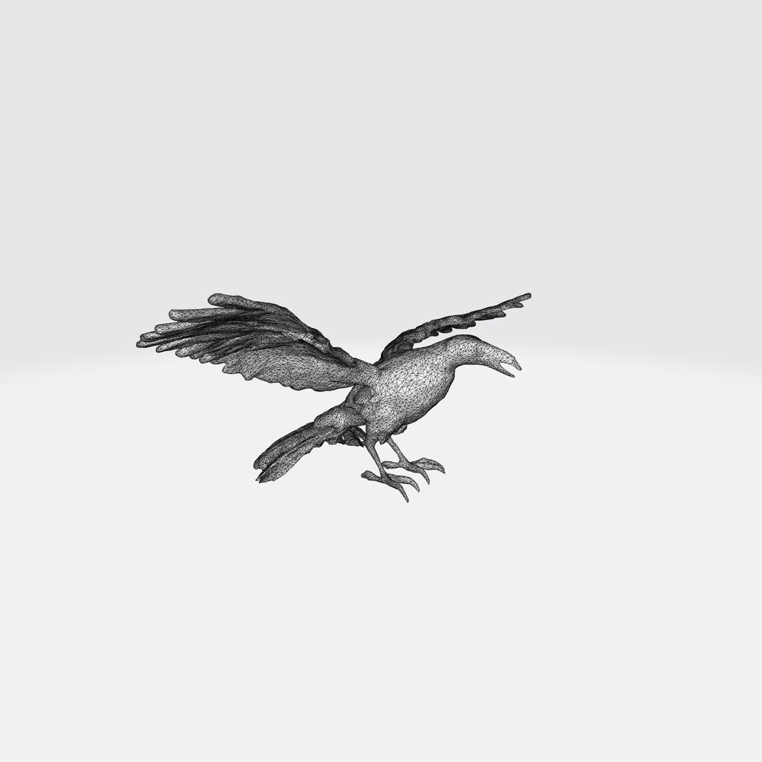 A Black Raven In Flight Model - TurboSquid 2263454