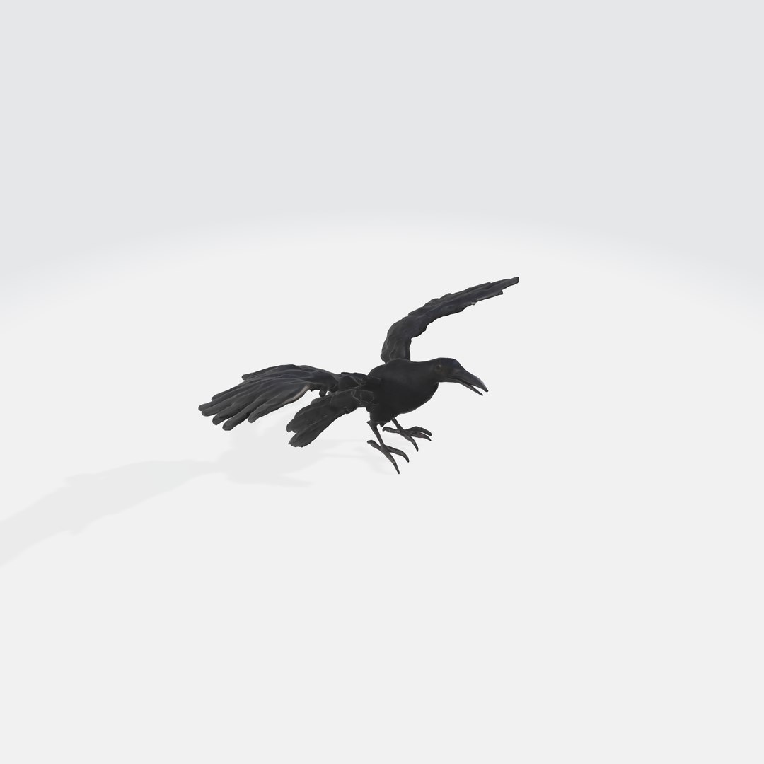 A Black Raven In Flight Model - TurboSquid 2263454
