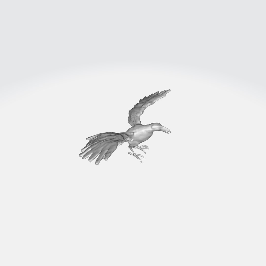 A Black Raven In Flight Model - TurboSquid 2263454
