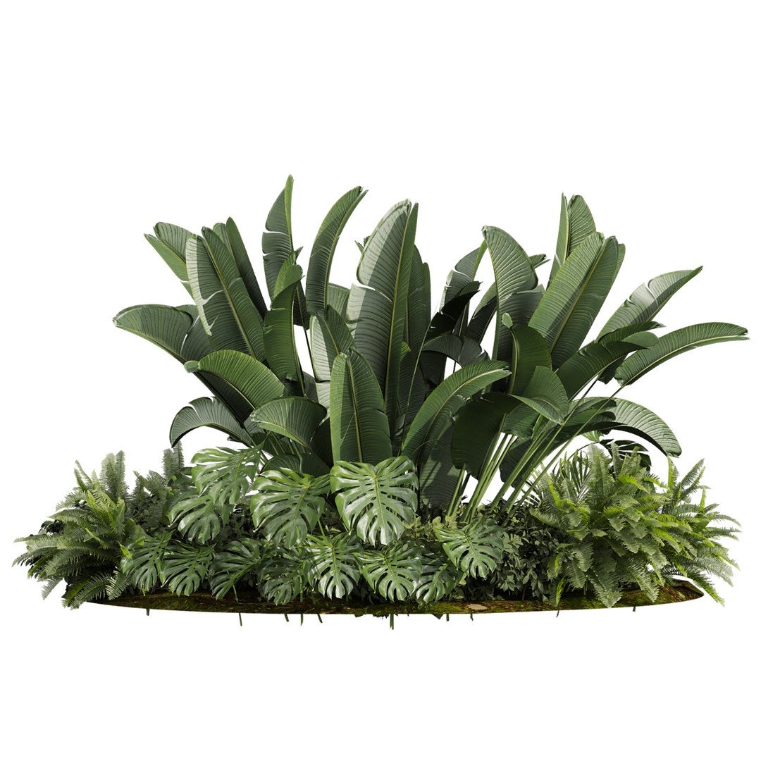 3D plant vol 959 - garden - banana - monstera -  backyard https://p.turbosquid.com/ts-thumb/ek/WaSDJ5/Kq/2/jpg/1785159390/1920x1080/fit_q87/32669ec741f57242136077f3493b550c9205ec72/2.jpg