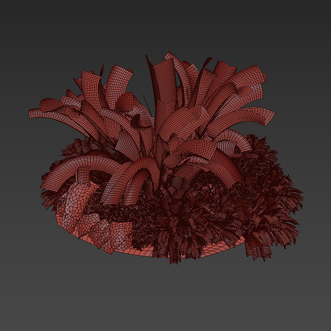 3D plant vol 959 - garden - banana - monstera -  backyard https://p.turbosquid.com/ts-thumb/ek/WaSDJ5/Si/6/jpg/1785159393/1920x1080/fit_q87/3beb3e102f42964305b2f4dcbea8f068407133ea/6.jpg