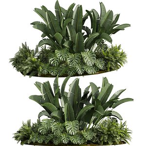 plant vol 959 - garden - banana - monstera -  backyard