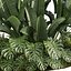 Pflanzenband 959 - Garten - Banane - Monstera - Hinterhof
