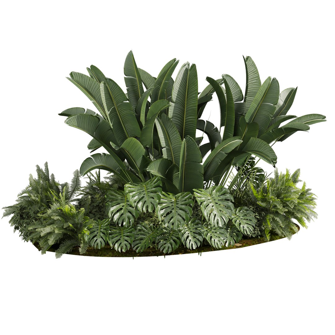 3D plant vol 959 - garden - banana - monstera -  backyard https://p.turbosquid.com/ts-thumb/ek/WaSDJ5/xJ/3/jpg/1785159391/1920x1080/fit_q87/0bd7fbc075fc709b195fc7cfca5b6ab660157f96/3.jpg