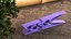 Clothespin Purple