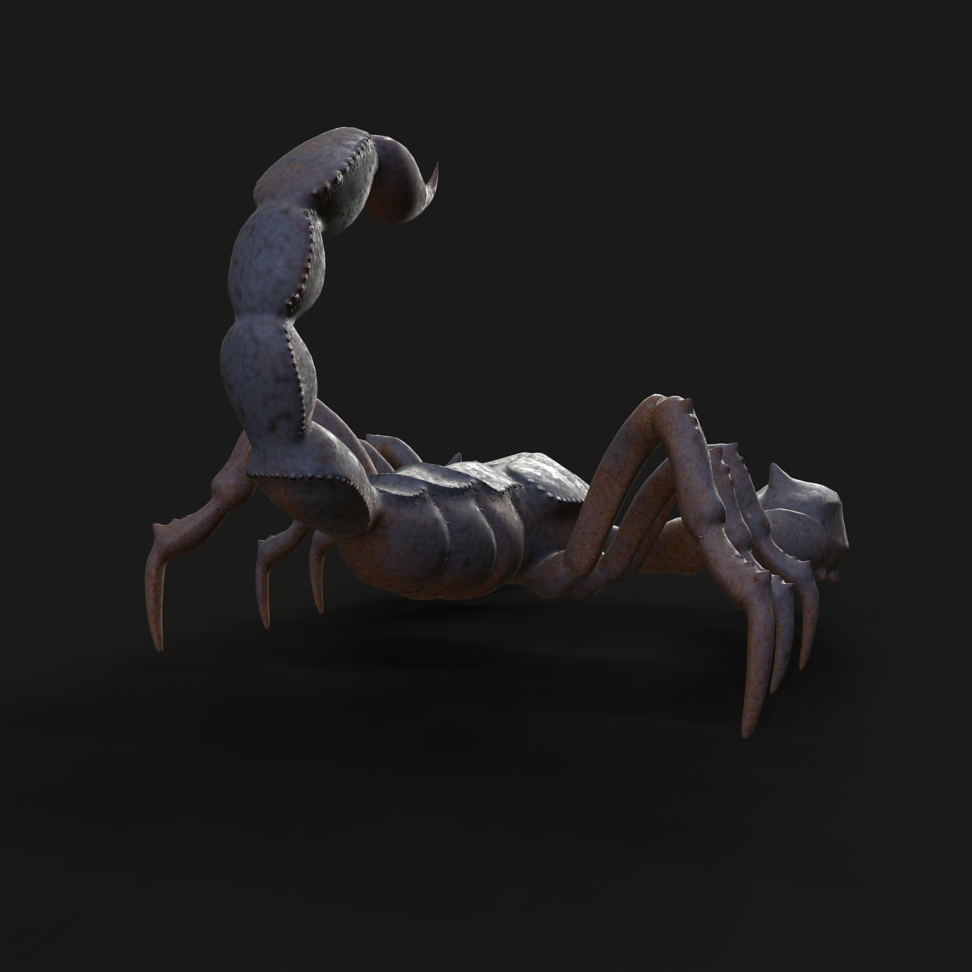3D Scorpion Animation and Texture Pack 3D model - TurboSquid 1788573