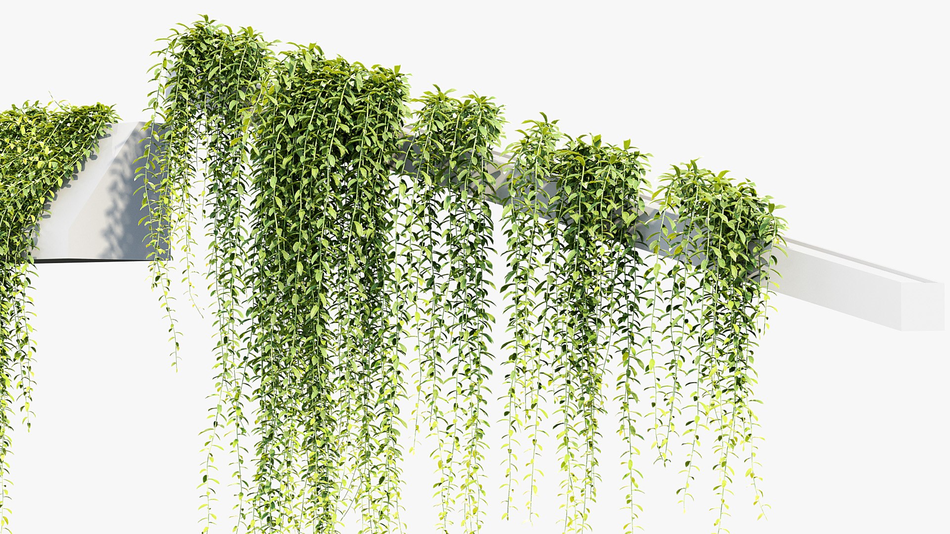 Tarlmounia elliptica Indian laurel 3D Model 3D model https://p.turbosquid.com/ts-thumb/ek/c6CUxM/Ic/bc_pm_p07_tarlmounia_elliptica_06/jpg/1680781349/1920x1080/fit_q87/aa5af6057f1710c0b61b895d20658c3466d7e957/bc_pm_p07_tarlmounia_elliptica_06.jpg